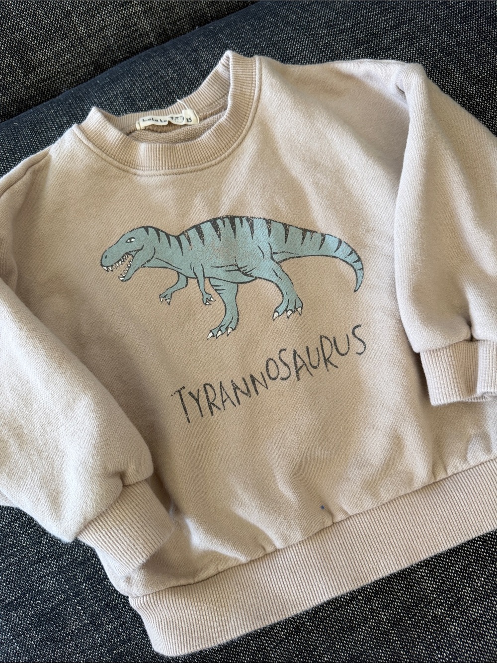 Children's Beige Tyrannosaurus Pullover Sweatshirt